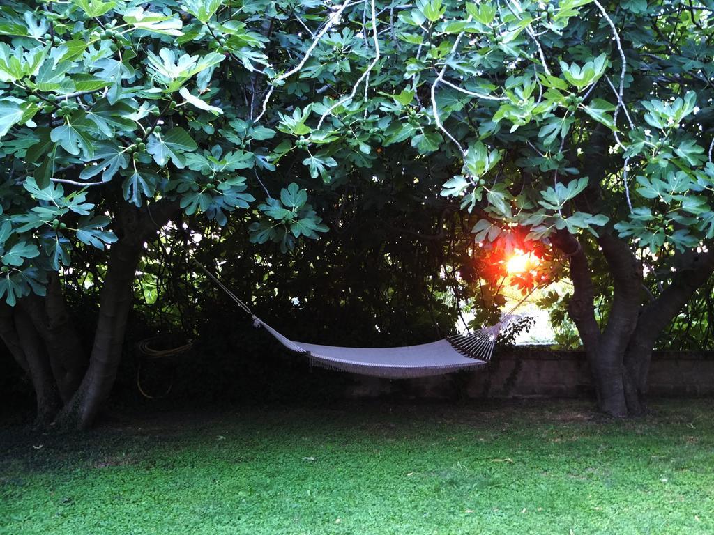 Agriturismo Locanda Pantanello Pitigliano Eksteriør billede
