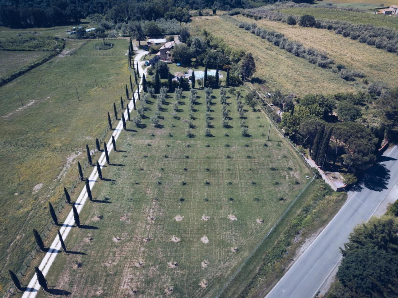 Agriturismo Locanda Pantanello Pitigliano Eksteriør billede